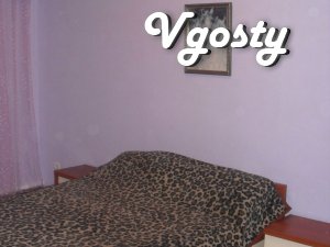 Cozy apartment in the junior class one of the central - Apartments for daily rent from owners - Vgosty