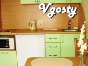 5 minutes. Centre Daily ! Hourly ! - Apartments for daily rent from owners - Vgosty