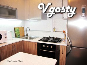 Apartment VIP - level with major European style on the red - Apartments for daily rent from owners - Vgosty