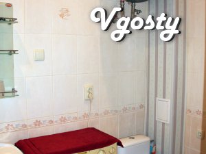 Center, Korolenko - Apartments for daily rent from owners - Vgosty