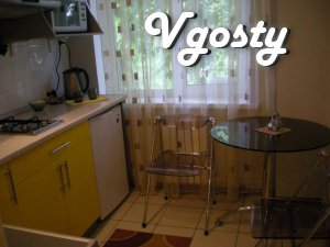 Cosy apartment in the center ! - Apartments for daily rent from owners - Vgosty