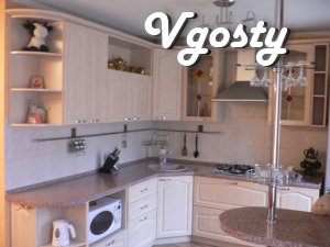Luxury apartment in the center ! - Apartments for daily rent from owners - Vgosty