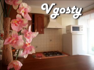 center of Dnepropetrovsk, the Internet - Apartments for daily rent from owners - Vgosty
