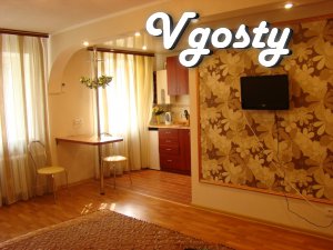 Krasivayakvartira studio, equipped with all appliances for - Apartments for daily rent from owners - Vgosty