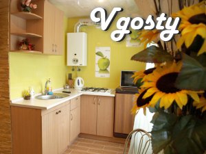 A new, beautiful (repair 2012) studio apartment, located in - Apartments for daily rent from owners - Vgosty