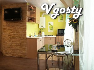 A new, beautiful (repair 2012) studio apartment, located in - Apartments for daily rent from owners - Vgosty