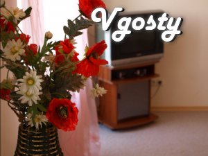 Spacious one bedroom apartment - studio in the city center - Apartments for daily rent from owners - Vgosty