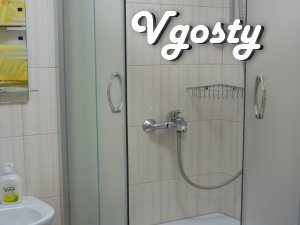 Its VIP apartment studiya.Tsentr (Opera House). Wi-Fi. - Apartments for daily rent from owners - Vgosty
