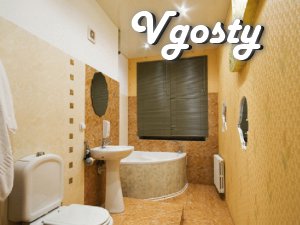 One bedroom apartment in the district of Oblgosdministratsii, to the c - Apartments for daily rent from owners - Vgosty