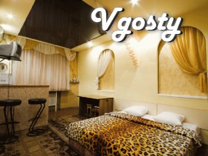 Однокімнатна квартира в р-не облгосдміністраціі, до центру - Квартири подобово без посередників - Vgosty