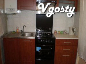 Center, branch, cozy - Apartments for daily rent from owners - Vgosty