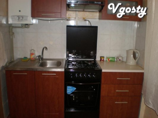 Center, branch, cozy - Apartments for daily rent from owners - Vgosty