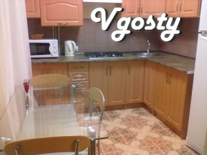 Apartment in the center of the city, with a new modern renovation . - Apartments for daily rent from owners - Vgosty