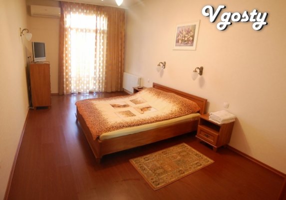 Cosy flat in 5' from Donbass Arena - Apartments for daily rent from owners - Vgosty