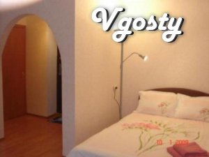 Comfortable apartment in the center of Donetsk - Apartments for daily rent from owners - Vgosty
