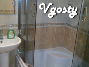 Apartment in the center! - Apartments for daily rent from owners - Vgosty