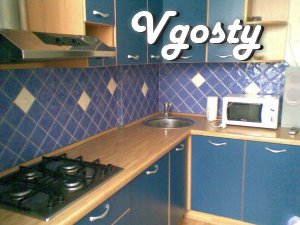 Rent in the center, its own! - Apartments for daily rent from owners - Vgosty