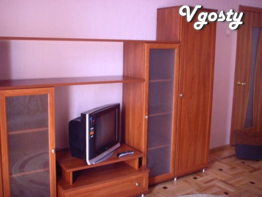 1 bedroom apartment in the center - Apartments for daily rent from owners - Vgosty