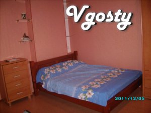 Comfortable, center - Apartments for daily rent from owners - Vgosty