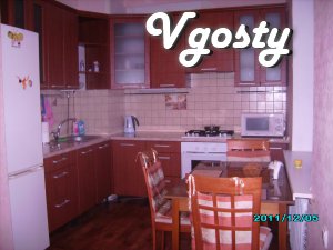 Comfortable, center - Apartments for daily rent from owners - Vgosty