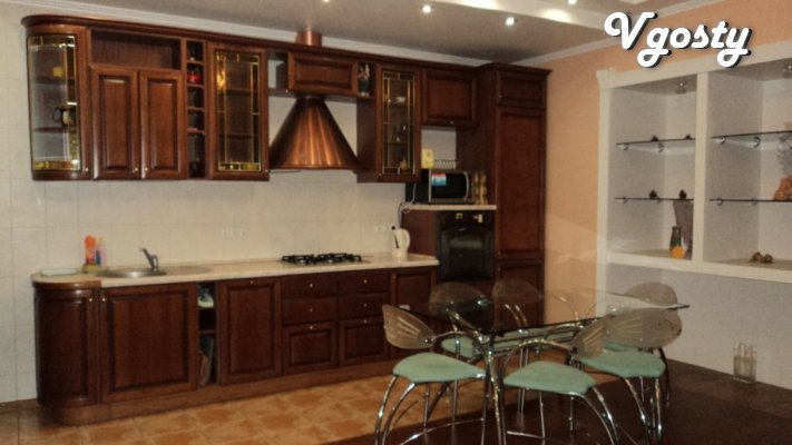 VIP accommodations pl.Lenina - Apartments for daily rent from owners - Vgosty