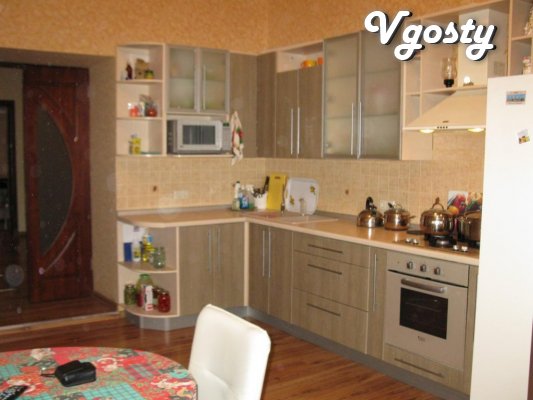 Excellent apartment, a landmark b.Pushkina - Apartments for daily rent from owners - Vgosty