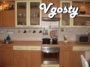 Daily and hourly cozy two-bedroom. apartment in the city center - Apartments for daily rent from owners - Vgosty