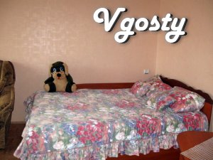 Its cozy apartment in the center of Zhitomir. - Apartments for daily rent from owners - Vgosty