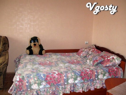 Its cozy apartment in the center of Zhitomir. - Apartments for daily rent from owners - Vgosty