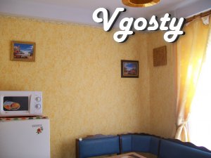 Excellent studio apartment 5/9 storey building in the center - Apartments for daily rent from owners - Vgosty