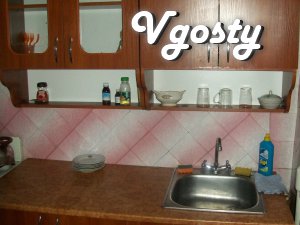 Excellent one bedroom apartment 3/9 storey building in the center - Apartments for daily rent from owners - Vgosty