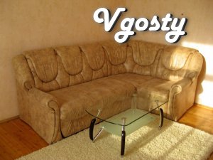 The center. Wi-Fi. Cable. LCD-TV - Apartments for daily rent from owners - Vgosty