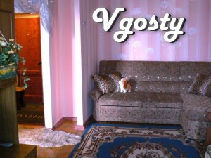 Apartment for Visitors Center - Apartments for daily rent from owners - Vgosty