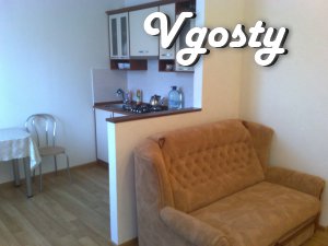 cozy apartment in the quiet center of Zaporozhye - Apartments for daily rent from owners - Vgosty