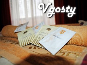 Center Wi-Fi 3-bedroom - Apartments for daily rent from owners - Vgosty