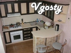 Daily lease apartment in the middle of Ivano-Frankivsk - Apartments for daily rent from owners - Vgosty
