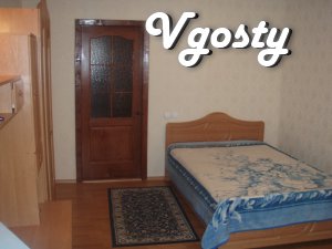 Comfortable apartment in the city center on Frank Street, near - Apartments for daily rent from owners - Vgosty