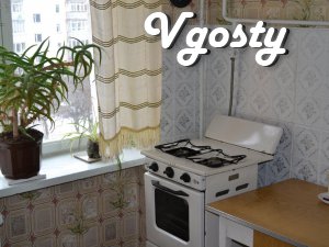 Flat economy class - Apartments for daily rent from owners - Vgosty
