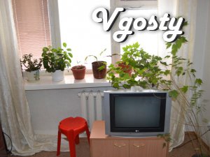 The central part of the city! - Apartments for daily rent from owners - Vgosty