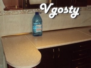 Center 3-com. apartment in the new building - Apartments for daily rent from owners - Vgosty