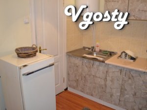 1-room apartment in the center of the old town - Apartments for daily rent from owners - Vgosty