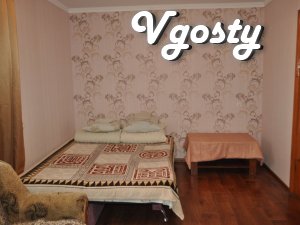 Centre! Daily rent 1 room flat - Apartments for daily rent from owners - Vgosty