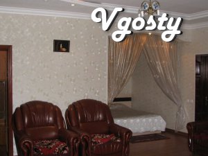 Center! Daily rent apartment studio euro renovation - Apartments for daily rent from owners - Vgosty