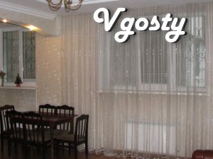 Center! Daily rent apartment studio euro renovation - Apartments for daily rent from owners - Vgosty