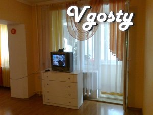Center, for daily rent 1 bedroom apartment - Apartments for daily rent from owners - Vgosty