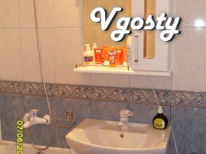 Center, for daily rent 1 bedroom apartment - Apartments for daily rent from owners - Vgosty