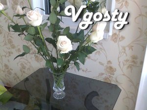 For rent 1 bedroom apartment - Apartments for daily rent from owners - Vgosty