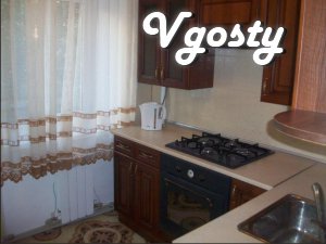 Downtown! - Apartments for daily rent from owners - Vgosty