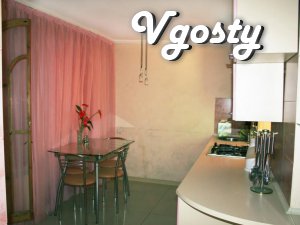 House (class apartments) for rent - Apartments for daily rent from owners - Vgosty
