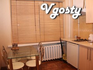 Luxury apartment in the city center with renovated - Apartments for daily rent from owners - Vgosty